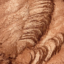 Load image into Gallery viewer, Bronze Metallic Mica Powder for Epoxy Resin 50 Grams